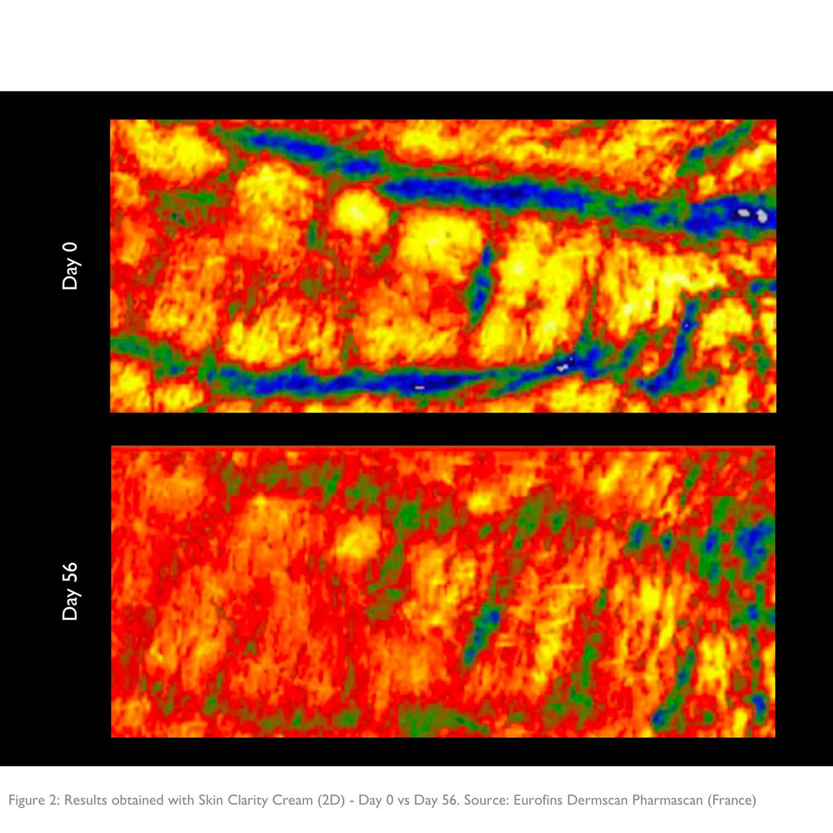 Section image 2