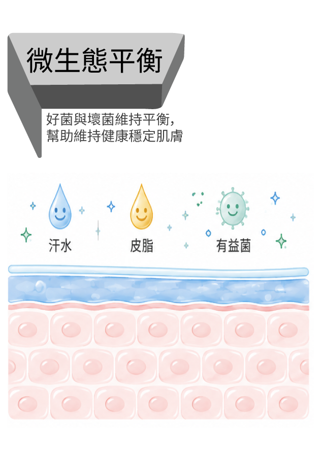 Section image 2